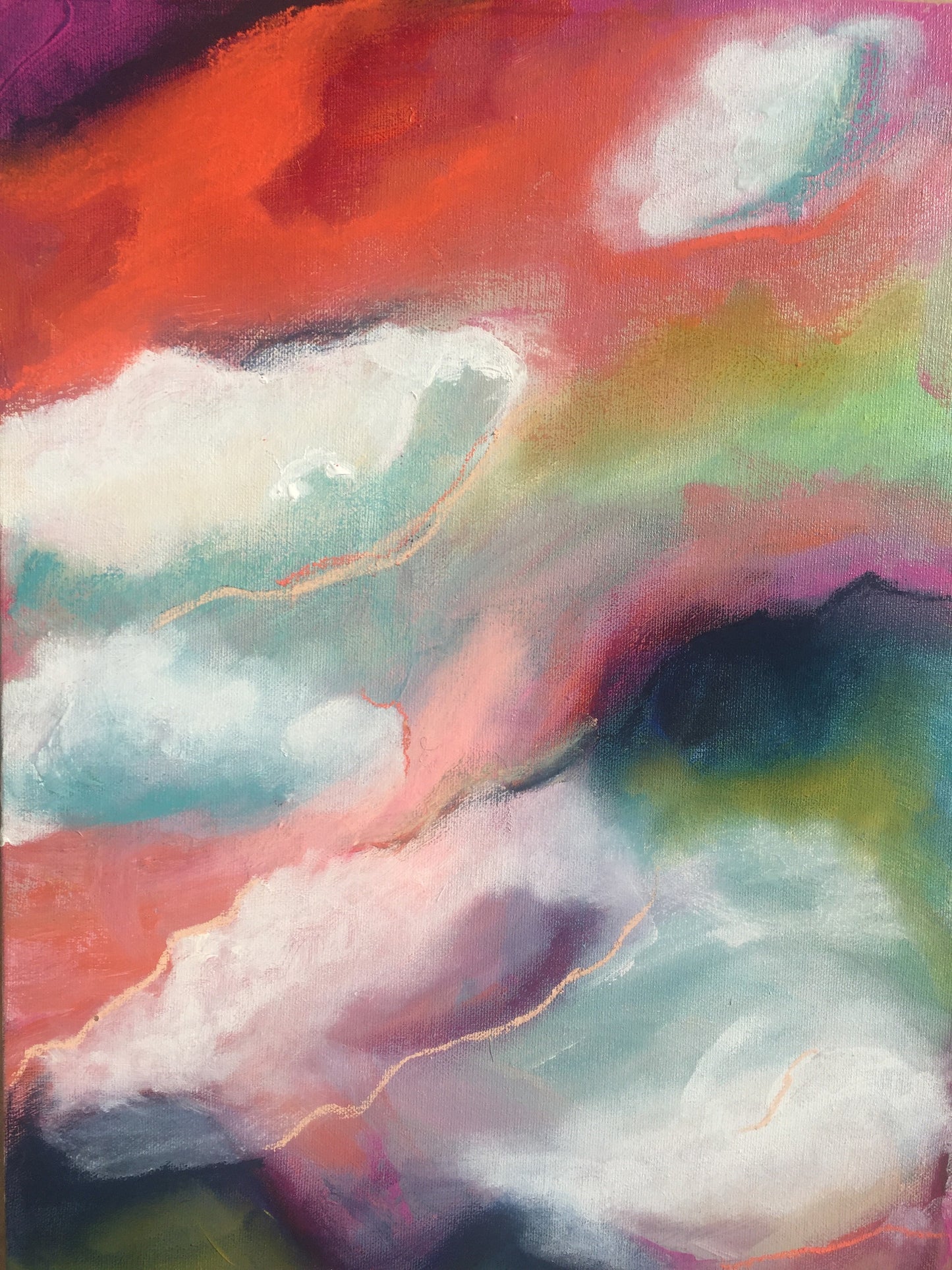 Salmon Sky Fields