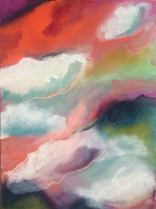 Salmon Sky Fields